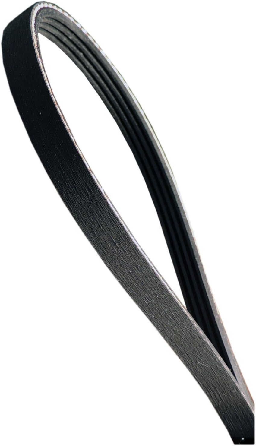 Supco LB216 Dryer Belt For GE WE12X10014, AP4379804, WE12X82, WE12X42, WE12X82P